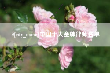 广汉中国十大金牌律师名单
