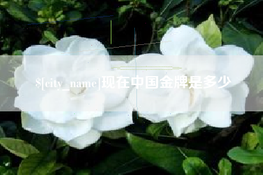 广汉现在中国金牌是多少