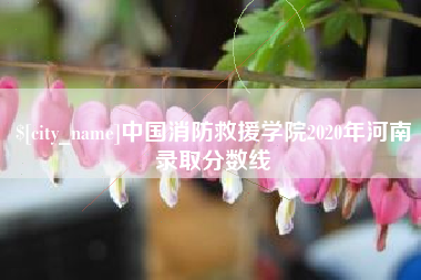 广汉中国消防救援学院2020年河南录取分数线