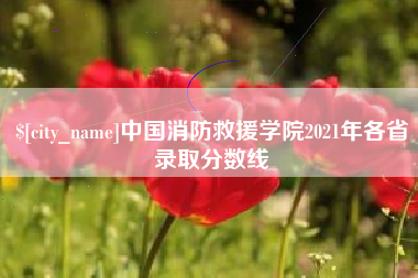 广汉中国消防救援学院2021年各省录取分数线