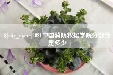 广汉2021中国消防救援学院分数线是多少