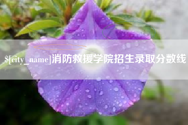 广汉消防救援学院招生录取分数线
