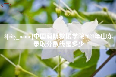 广汉中国消防救援学院2021年山东录取分数线是多少
