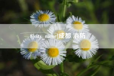 广汉成都 消防