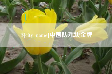 广汉中国队九块金牌