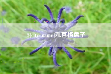 广汉九宫格盘子