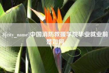 广汉中国消防救援学院毕业就业前景如何