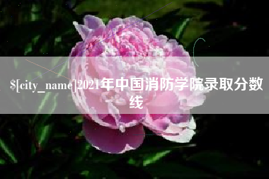 广汉2021年中国消防学院录取分数线