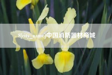 广汉中国消防器材商城
