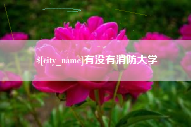 广汉有没有消防大学