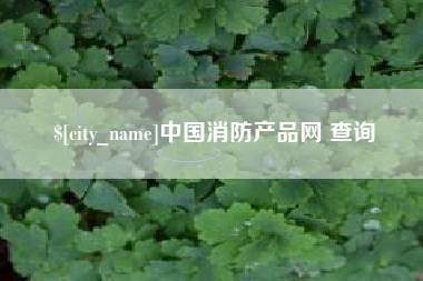 广汉中国消防产品网 查询