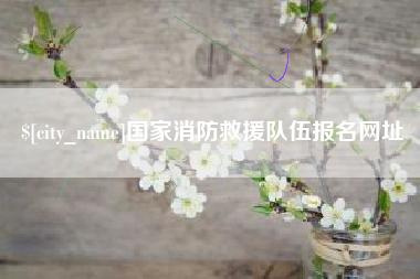 广汉国家消防救援队伍报名网址
