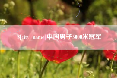 广汉中国男子5000米冠军