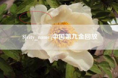广汉中国第九金回放