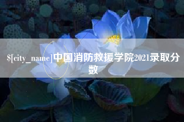 广汉中国消防救援学院2021录取分数