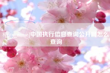 广汉中国执行信息查询公开网怎么查询