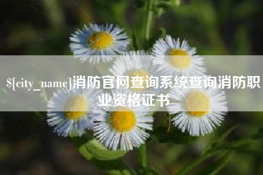 广汉消防官网查询系统查询消防职业资格证书