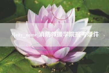 广汉消防救援学院报考条件