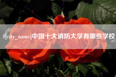 广汉中国十大消防大学有哪些学校