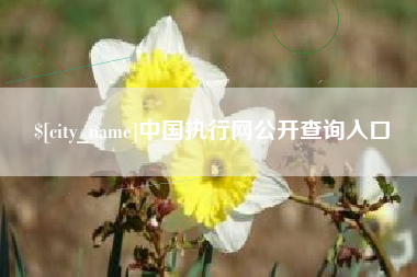 广汉中国执行网公开查询入口