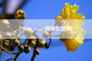 广汉国家队图案