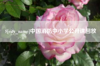 广汉中国消防中小学公开课回放