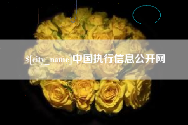 广汉中国执行信息公开网