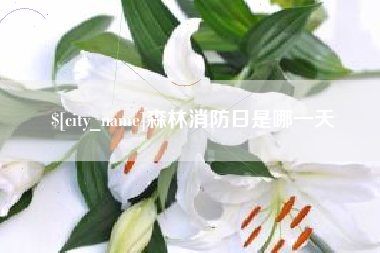 广汉森林消防日是哪一天