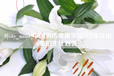 广汉中国消防救援学院2020年在山东招生计划表