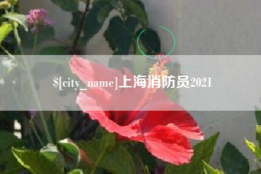 广汉上海消防员2021