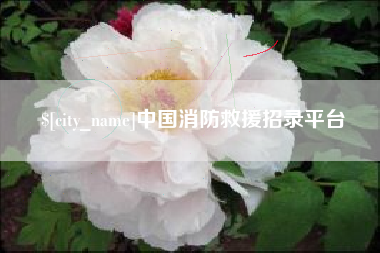 广汉中国消防救援招录平台