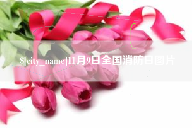广汉11月9日全国消防日图片