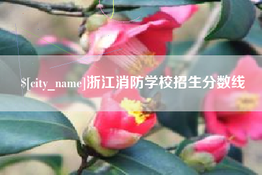 广汉浙江消防学校招生分数线