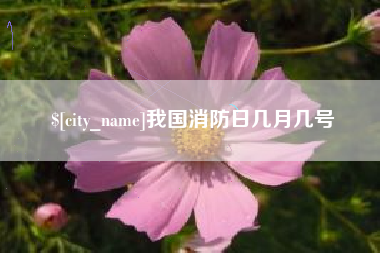 广汉我国消防日几月几号