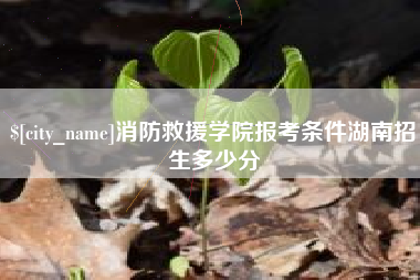 广汉消防救援学院报考条件湖南招生多少分