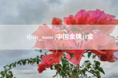 广汉中国金牌18金