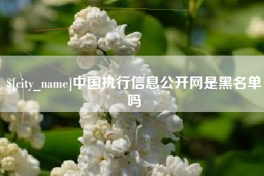 广汉中国执行信息公开网是黑名单吗