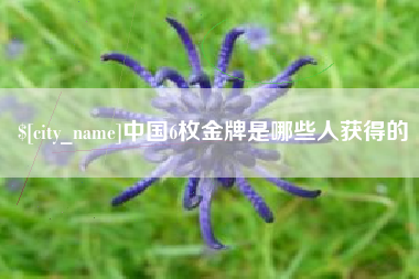 广汉中国6枚金牌是哪些人获得的