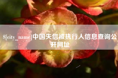 广汉中国失信被执行人信息查询公开网址