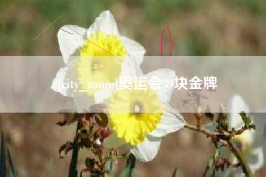 广汉奥运会39块金牌