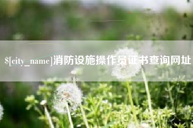 广汉消防设施操作员证书查询网址