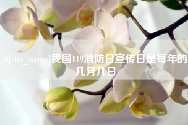 广汉我国119消防日宣传日是每年的几月几日