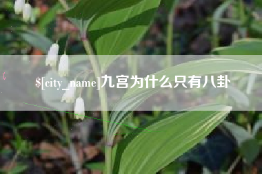 广汉九宫为什么只有八卦