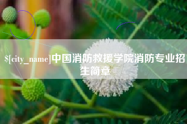 广汉中国消防救援学院消防专业招生简章