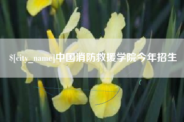 广汉中国消防救援学院今年招生