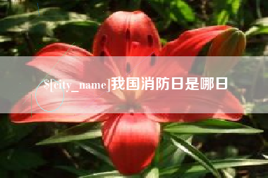 广汉我国消防日是哪日