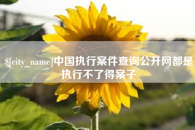 广汉中国执行案件查询公开网都是执行不了得案子