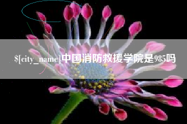 广汉中国消防救援学院是985吗