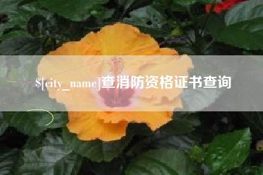 广汉查消防资格证书查询