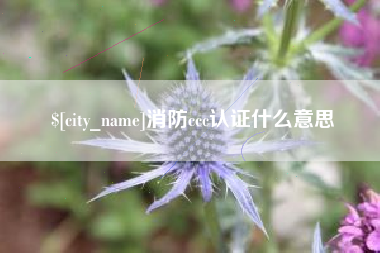 广汉消防ccc认证什么意思